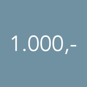 Gavekort 1000 kr.